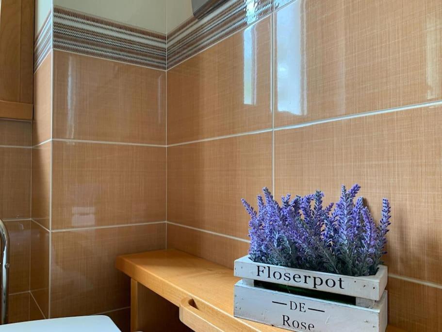 Dimaru Appartement Gragnano Buitenkant foto